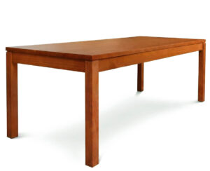 Mesa Euro 220 X 100